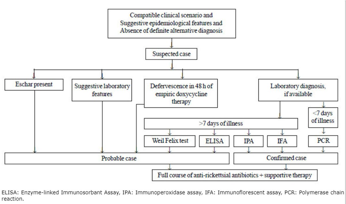 Case1

 7 yr/M presented with fever & vomiting x 4 days, altered sensorium & GTCS on day4
GCS: 6/15,...