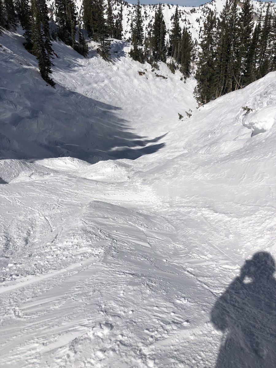 YourMission2's tweet photo. @AltaSkiArea @AltaHotshots @YourMission2 @jennearl @suzietaylor4 Even bunnies love 💕 ⛷ ❄️Alta‼️@ https://t.co/dgXYBzrU2t