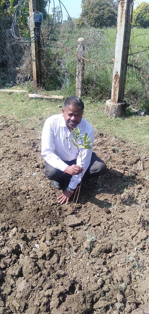 ddagrividisha's tweet photo. @vidishadm  @ProVidisha  @CMMadhyaPradesh किसान कल्याण तथा कृषि विकास विभाग के उपसंचालक श्री पी के चौकसे ने कार्यालय वरिष्ठ कृषि विकास अधिकारी विदिशा परिसर में पौधरोपण किया। इस अवसर पर  वरिष्ठ कृषि विकास अधिकारी एवं ग्रामीण कृषि विस्तार अधिकारी ने भी पौधरोपण में सहभागिता निभाई। https://t.co/KeRiHO6F53