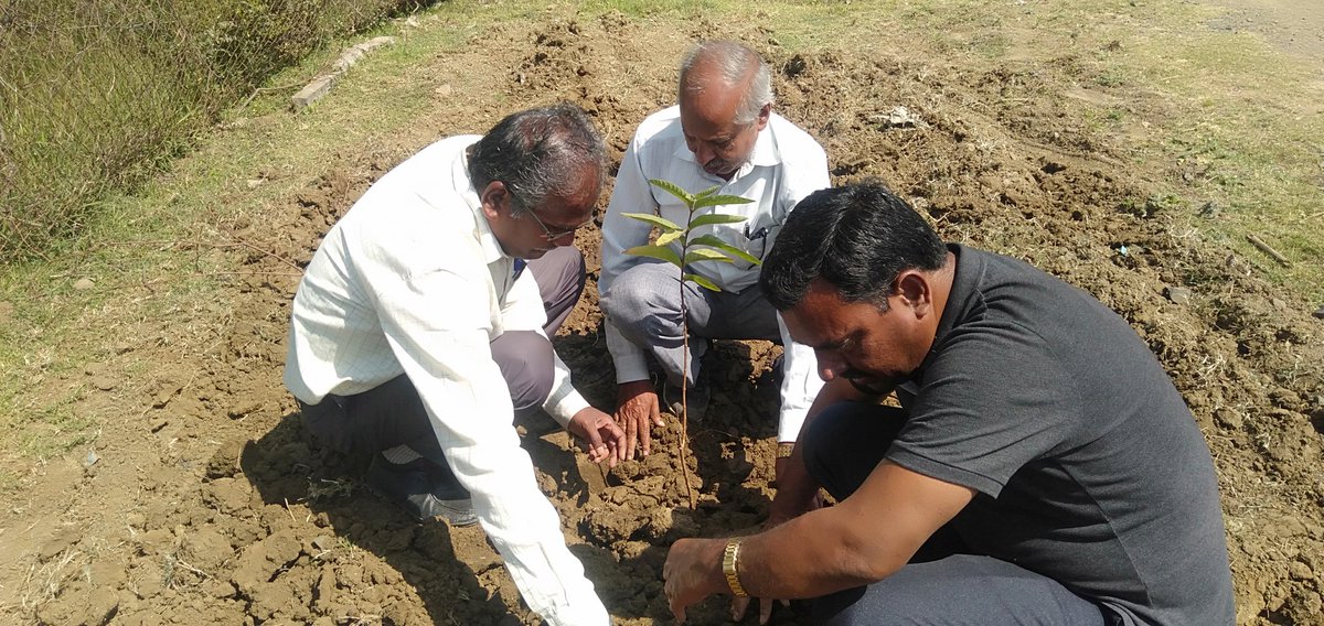 ddagrividisha's tweet photo. @vidishadm  @ProVidisha  @CMMadhyaPradesh किसान कल्याण तथा कृषि विकास विभाग के उपसंचालक श्री पी के चौकसे ने कार्यालय वरिष्ठ कृषि विकास अधिकारी विदिशा परिसर में पौधरोपण किया। इस अवसर पर  वरिष्ठ कृषि विकास अधिकारी एवं ग्रामीण कृषि विस्तार अधिकारी ने भी पौधरोपण में सहभागिता निभाई। https://t.co/KeRiHO6F53