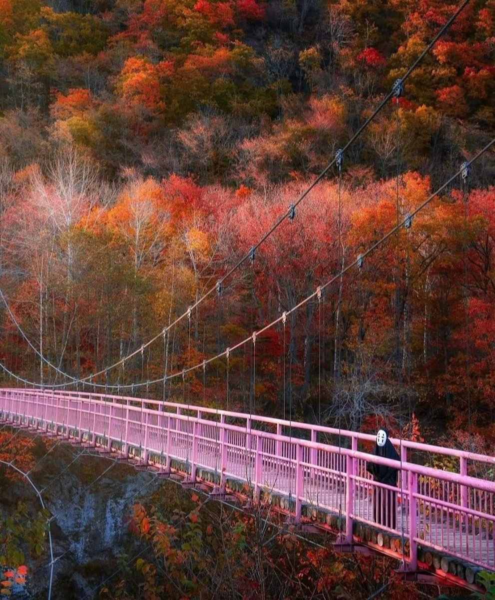 picsplaces's tweet photo. Hokkaido, Japan
https://t.co/GxdfI9gL1J https://t.co/yfNNMDb99i