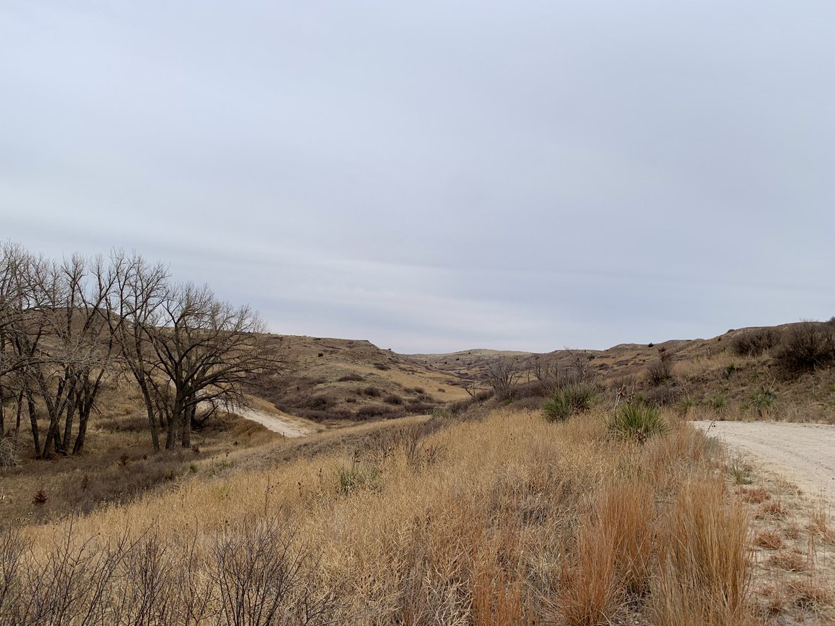 Enjoyed a local state park on #internationaloutsideday