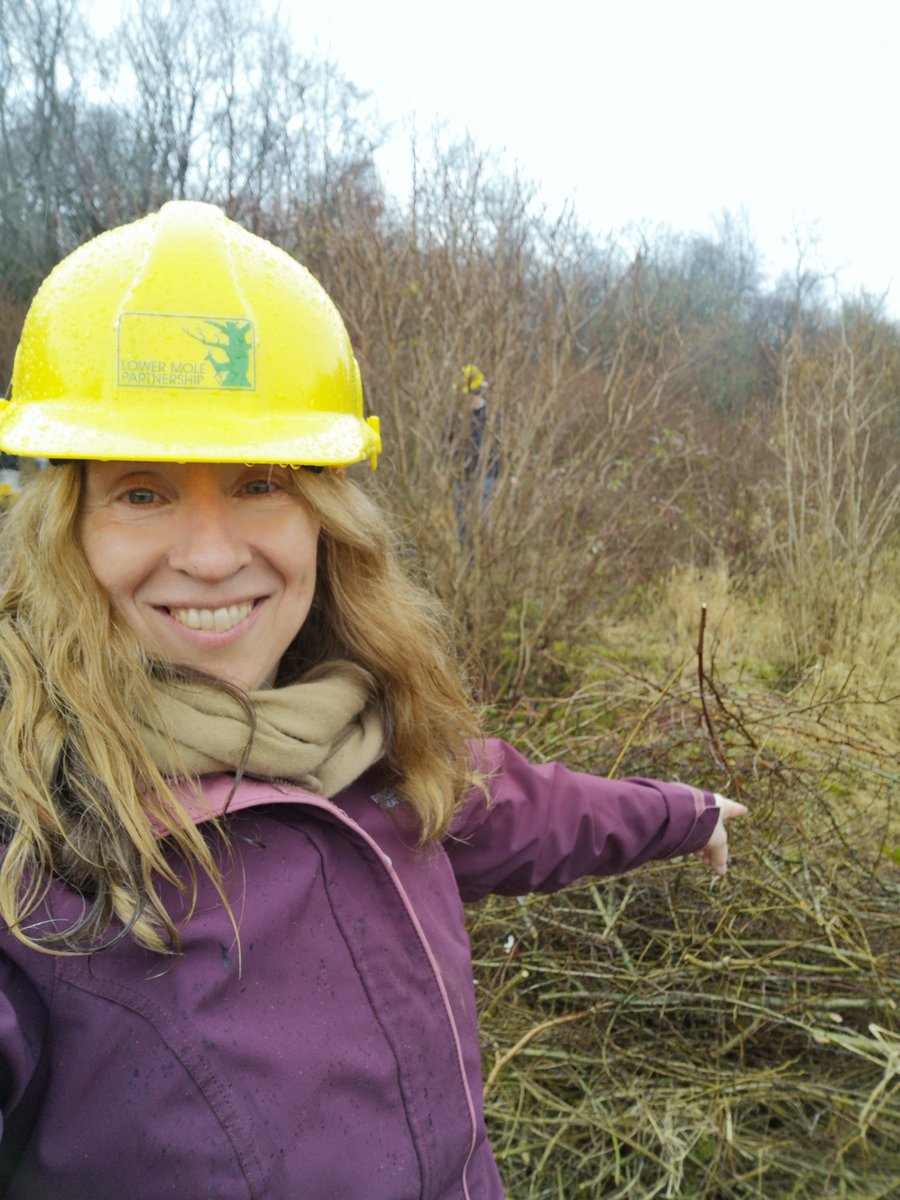 Deborah Fox tweet media