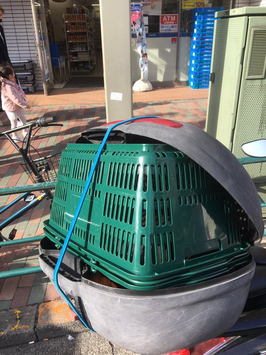 MITU84YouHey's tweet photo. カゴもらった https://t.co/LmfM1ShPTs