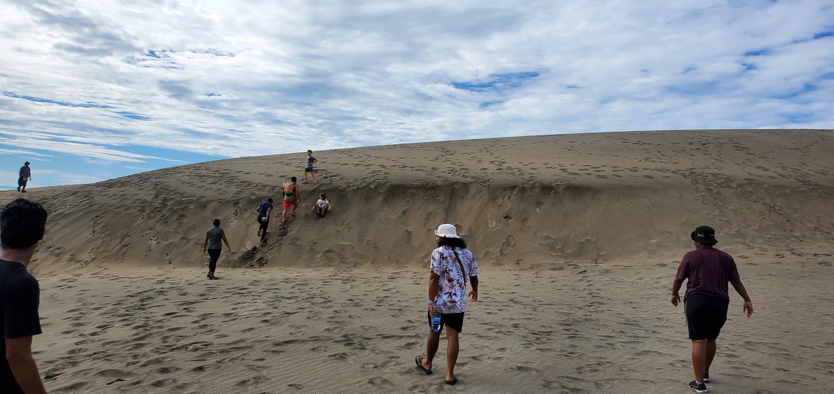 kellytjbrown's tweet photo. The #UrbanPathways project team finally got to meet in person after a year of COVID-19 restrictions. No better place to do it then at the Sigatoka Sand Dunes National Park! Shore cleaning, dune management &amp; native forest appreciation. @FijiMuseum @VOUfiji @UniSouthPacific https://t.co/jPdi8Dx0l5