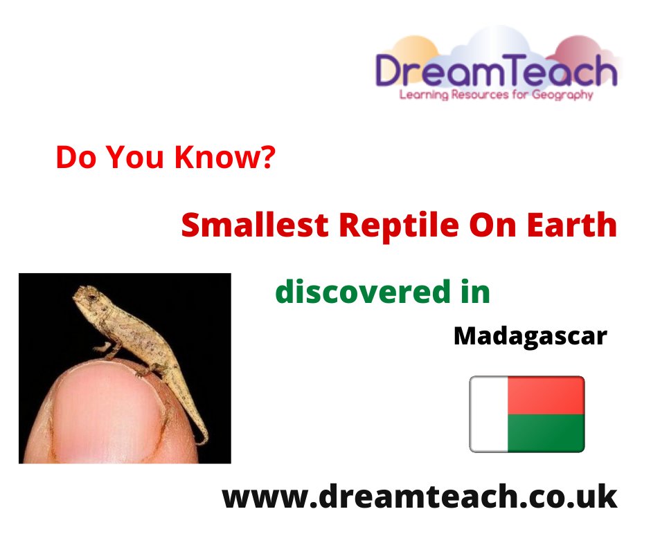 DreamTeachGeog's tweet photo. 𝐒𝐦𝐚𝐥𝐥𝐞𝐬𝐭 𝐫𝐞𝐩𝐭𝐢𝐥𝐞 𝐨𝐧 𝐞𝐚𝐫𝐭𝐡 - 𝐝𝐢𝐬𝐜𝐨𝐯𝐞𝐫𝐞𝐝 𝐢𝐧 𝐌𝐚𝐝𝐚𝐠𝐚𝐬𝐜𝐚𝐫

Visit 👉https://t.co/3H6S6hKo4U

#DreamTeach #Reptile #SmallestReptile #madagascar #facts #GeographyLearning #primaryschools #secondaryschools #Students #Teachers https://t.co/FwBsy3psnR