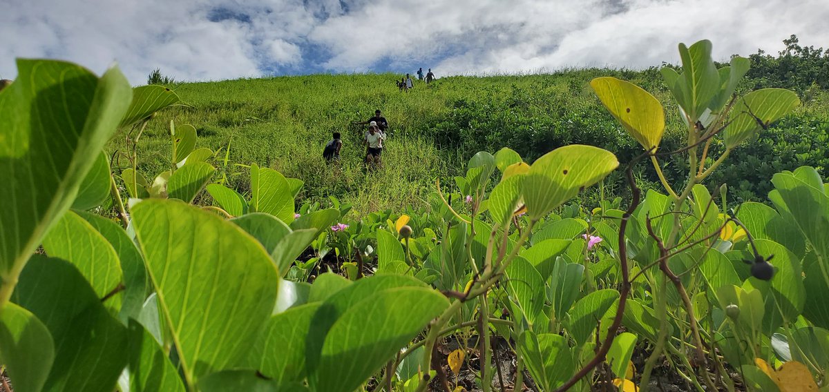 kellytjbrown's tweet photo. The #UrbanPathways project team finally got to meet in person after a year of COVID-19 restrictions. No better place to do it then at the Sigatoka Sand Dunes National Park! Shore cleaning, dune management &amp; native forest appreciation. @FijiMuseum @VOUfiji @UniSouthPacific https://t.co/jPdi8Dx0l5