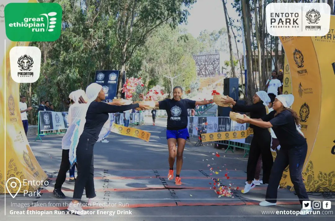 greatethrun's tweet photo. Entoto Park Predator Run 10th Edition
Today's winner from women! Congratulations to Solomon Rekik Bekele!
#greatrun #predatorenergy #Entotoparkpredatorrun #Ethiopia #run #winner https://t.co/gkZMDGfhyi