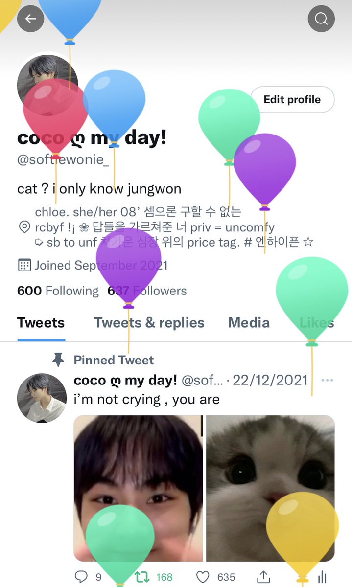 softiewonie_'s tweet photo. waited a whole year for these balloons 😭 happy 14 to me! 😼 https://t.co/sqkmdizgH7