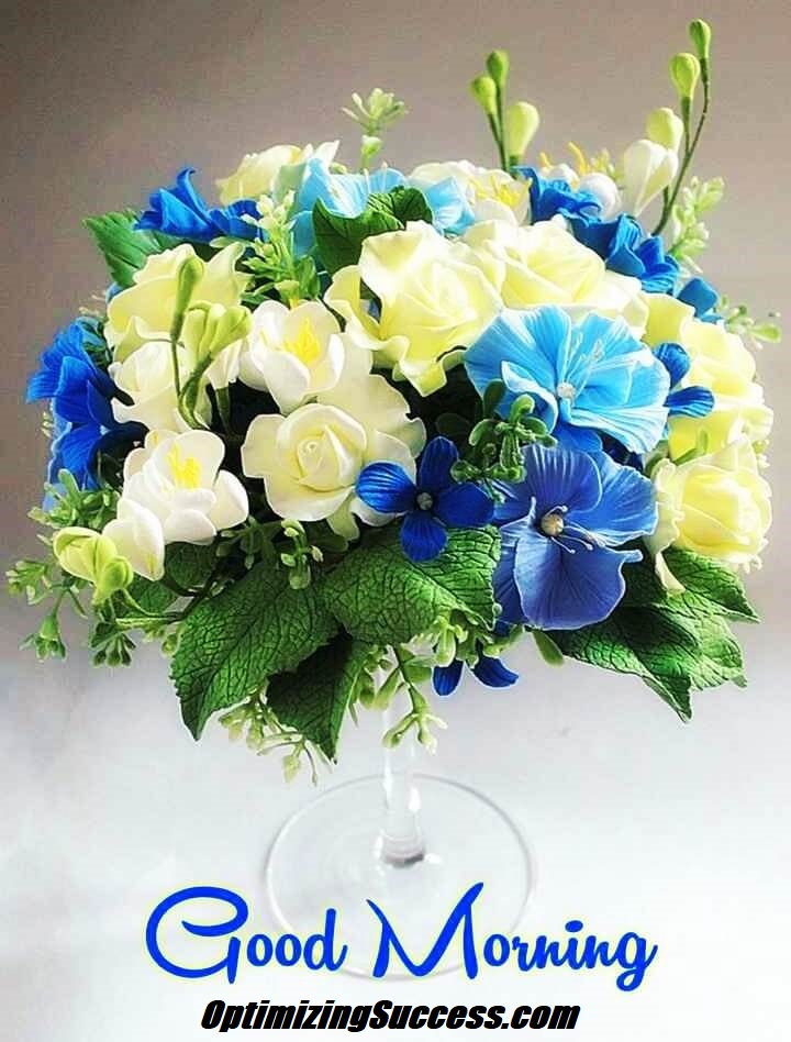 Happy Friday! Enjoy The Coming Weekend !

#OptimizingSuccess #BusinessCoaching #CustomerCare #ClientCare #Sales #LiveChatCoaching #BusinessCoaching #BDC #GME #ThanksCoach #SalesTraining #LiveChatTraining
optimizingsuccess.com/sales-training