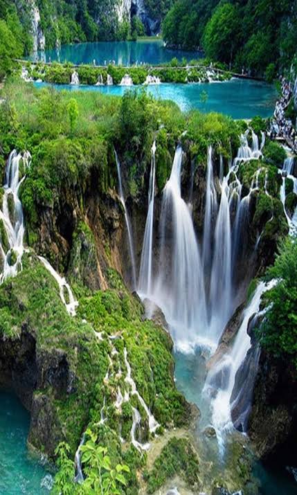 Good morning 🌄❤️ everyone 😊🌺🌼☕ happy Saturday 🎉💖🌼🌹💚💙💚🌿☘️🌱🌲🌄