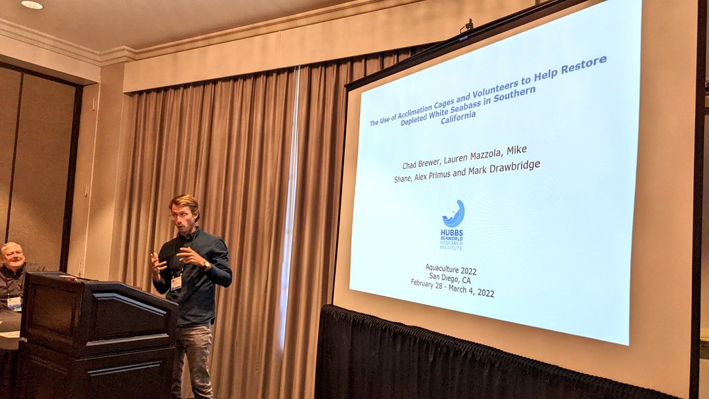 hubbsmikes's tweet photo. This week our team in the Sustainable Seafood program at @HubbsResearch gave over 15 presentations at #aquaculture2022 in San Diego about our aquaculture research. We also lead various tours for visiting scientists of our facilities. @AFS_FishCulture @CCA_California https://t.co/a7KUhci1ub