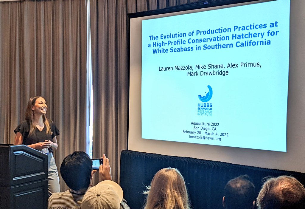 hubbsmikes's tweet photo. This week our team in the Sustainable Seafood program at @HubbsResearch gave over 15 presentations at #aquaculture2022 in San Diego about our aquaculture research. We also lead various tours for visiting scientists of our facilities. @AFS_FishCulture @CCA_California https://t.co/a7KUhci1ub