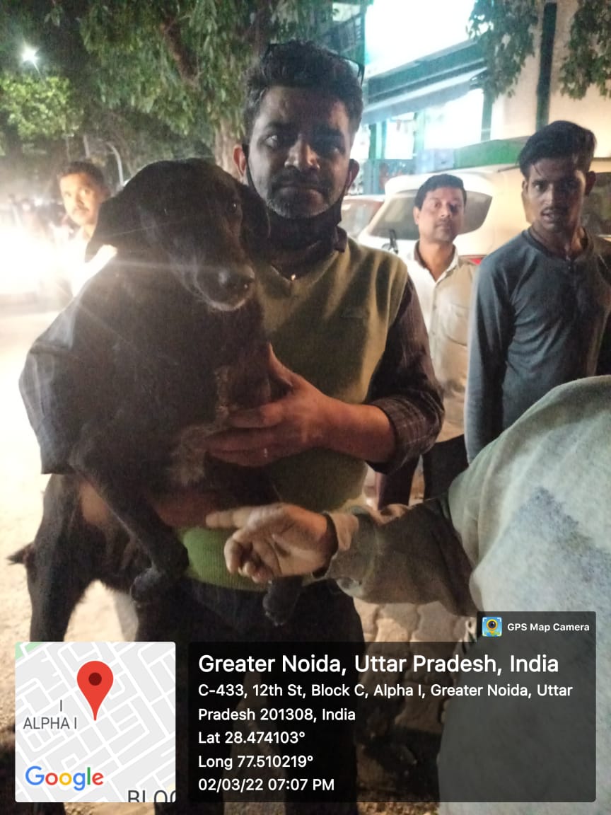 TheDogMother_'s tweet image. Gratitude to most amazing feeders &amp;amp; RWA of Alpha 1 #GreaterNoida who have been working with @OfficialGNIDA in carrying out 
&quot;Project Bhairav&quot; 🐾🐾
Together we can ❤

#Sterilize #Vaccinate #Protect 
#DogsofTwittter