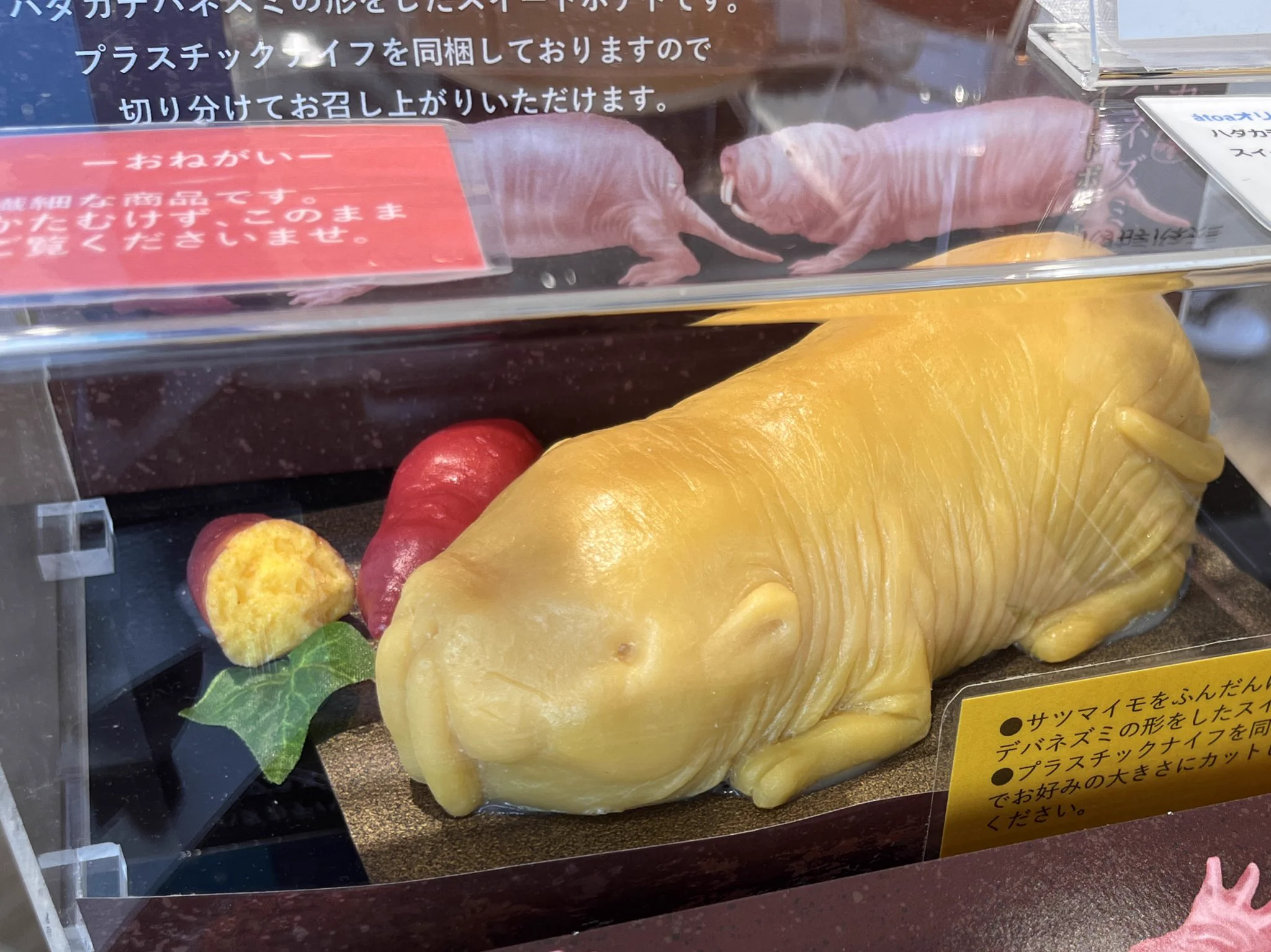 形を崩さず持ち帰れる？ハダカデバネズミのスイートポテト！