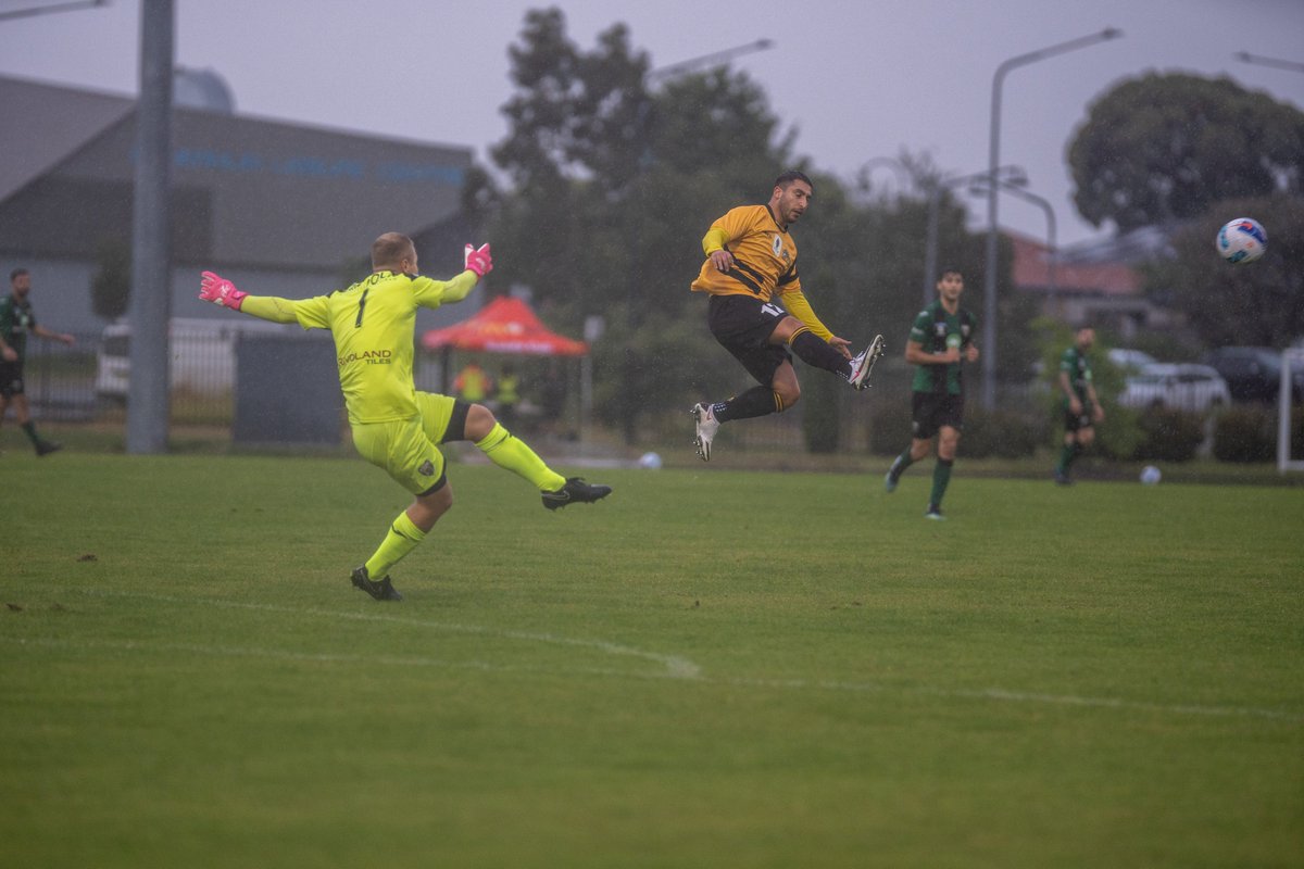 Tigers FC tweet media