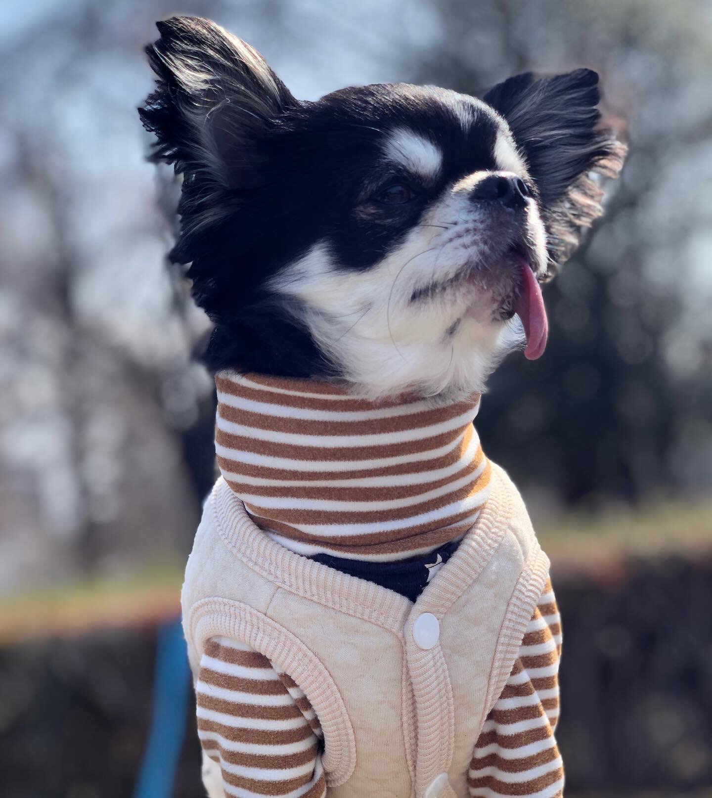 春感じる Twitter Search Twitter