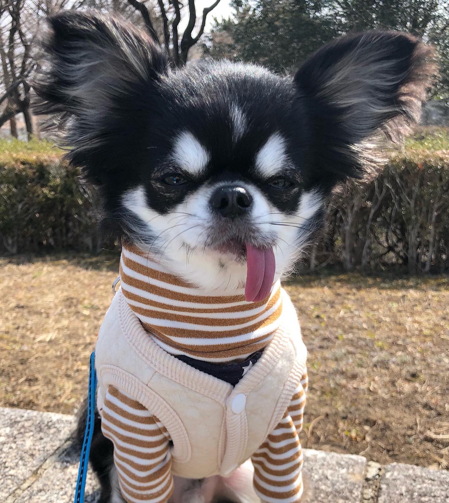 春感じる Twitter Search Twitter