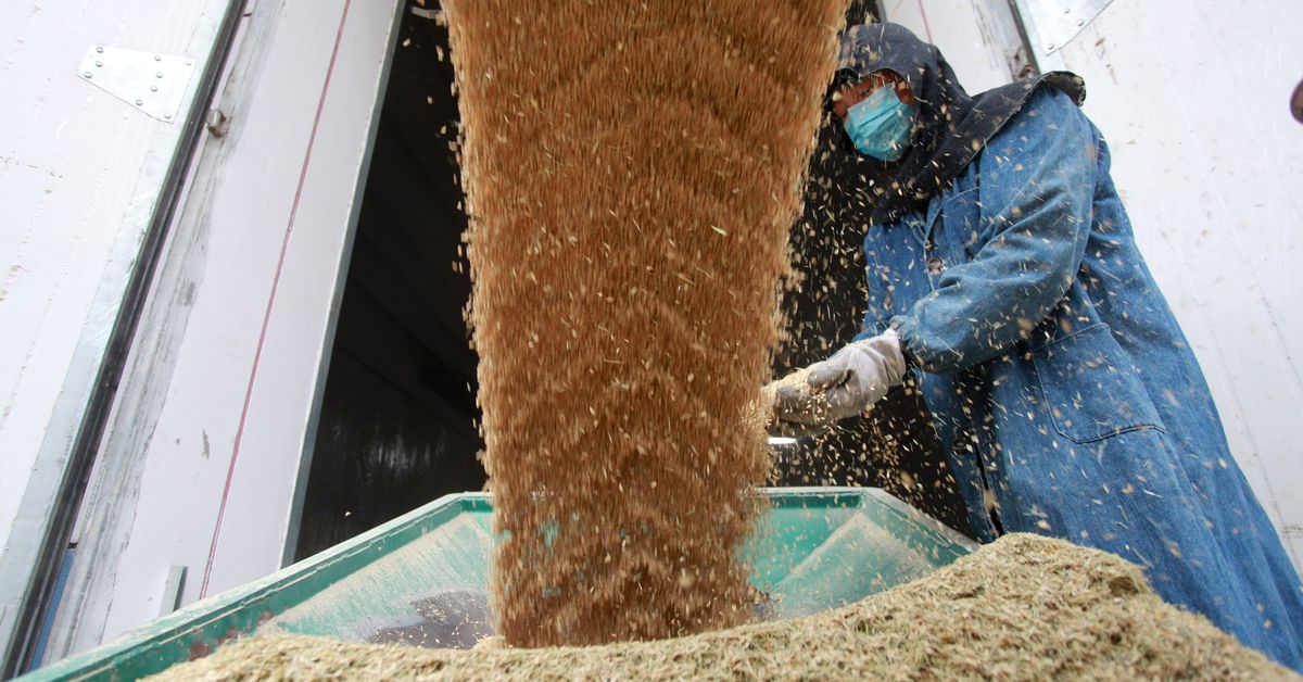 ReutersBiz's tweet photo. China ag minister says winter wheat condition could be worst in history https://t.co/WYse1dXB60 https://t.co/9DurjohNJ3