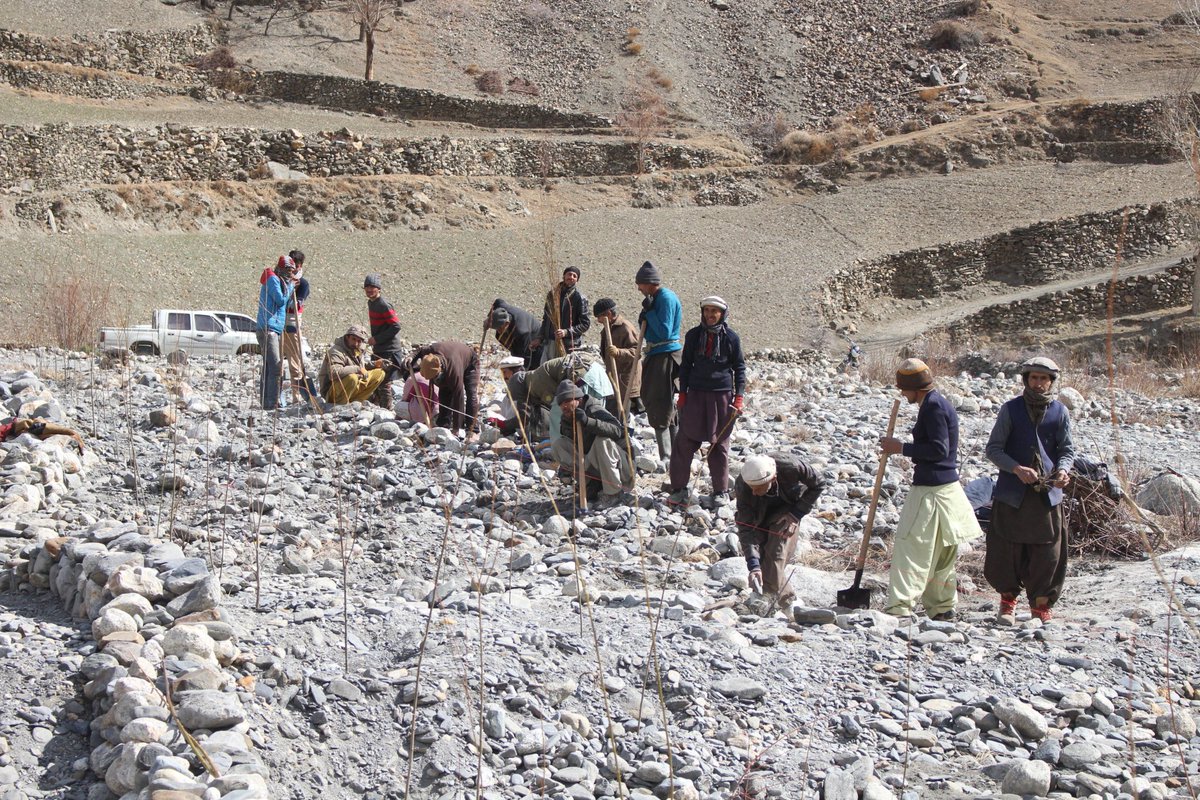 AjazNtfp's tweet photo. #Arkari-valley in Hindukush Region Chitral is a fragile ecosystem. Trees and vegetation are the only binding agents as well as the source of local livelihoods. Chitral Forest Div initiated restoration in the valley with the active participation of local people.
@Plant4Pak https://t.co/omHciftOTh