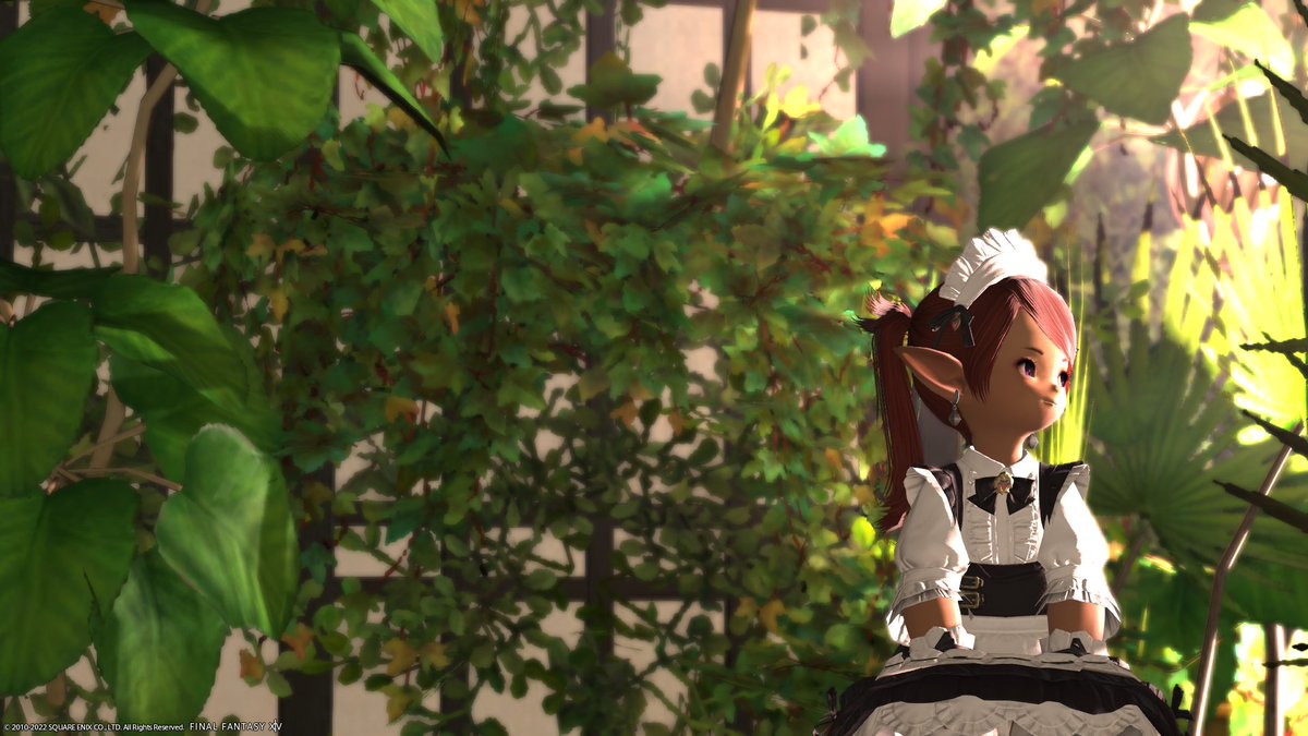 Naia_XIV's tweet photo. adventures of smol naia https://t.co/Tl9wVEFFwH