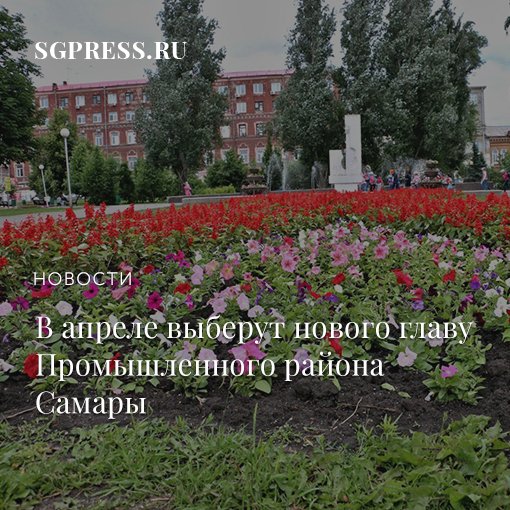 Самарская газета tweet media