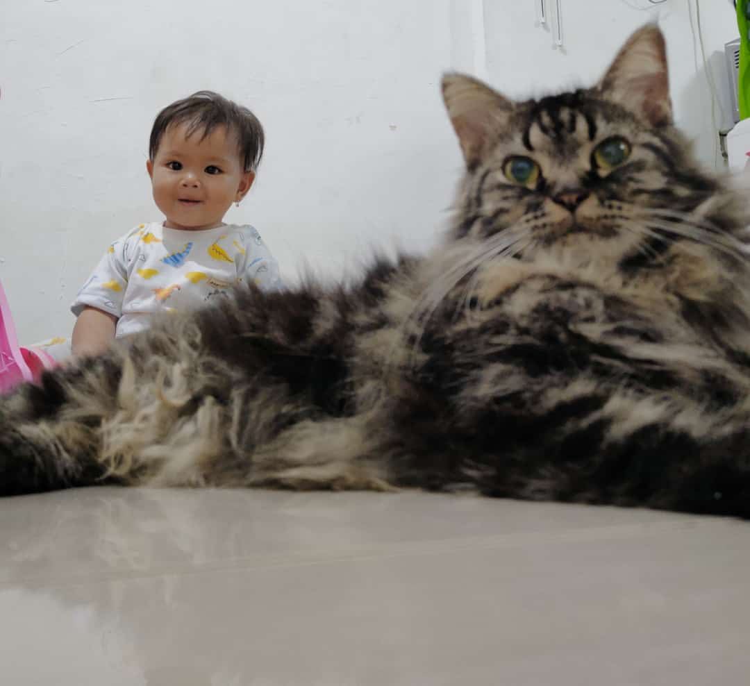 Adek kakak