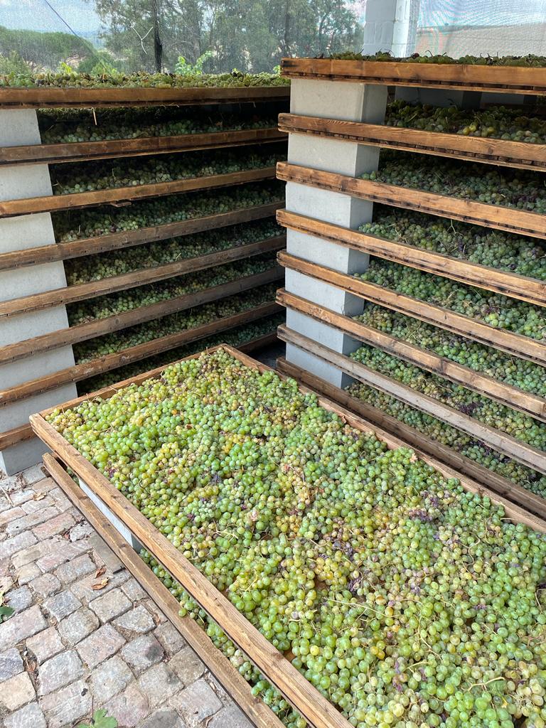 Deux Freres Wines tweet media