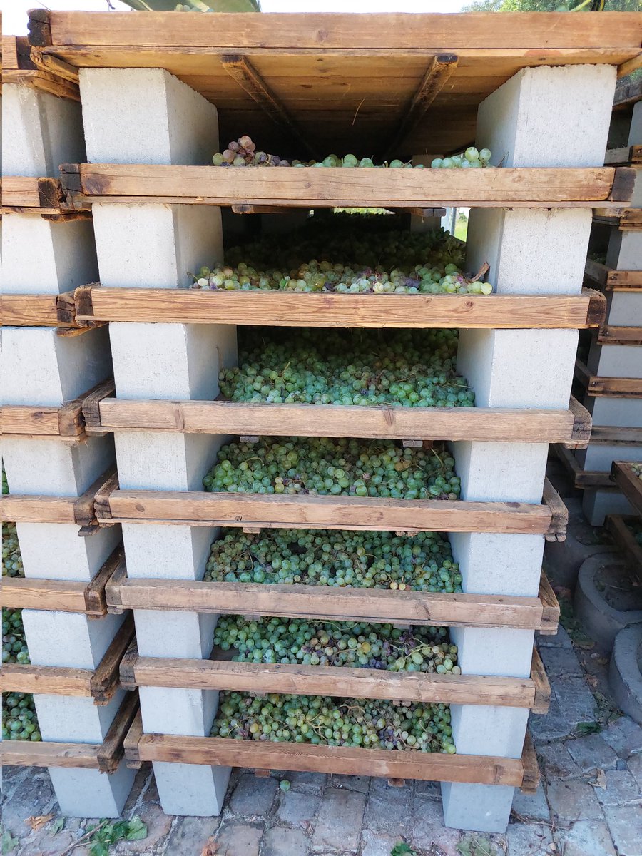 Deux Freres Wines tweet media