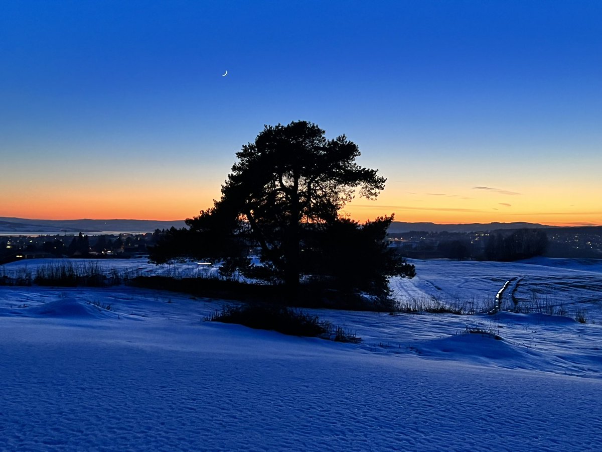 💙💛 Yesterday’s sunset #StandswithUkraine #nofilter