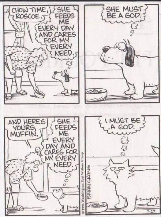 Siobhan Guthrie (@siobhanguthrie) on Twitter photo 