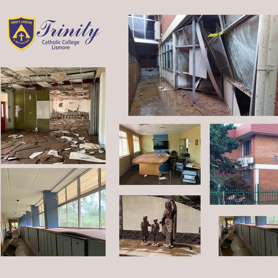 Trinity Lismore tweet media