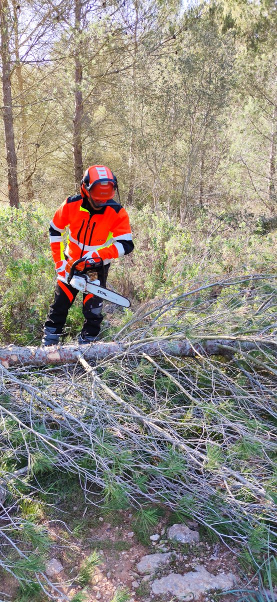FOREST_TRAMUN's tweet photo. Estos días hemos estado formando a una brigada para el manejo de desbrozadora y motosierra en ámbito forestal, garantizando siempre la seguridad del operario. También se ha practicado en diferentes escenarios de trabajo para que conozcan los riesgos y  procedimientos en cada caso https://t.co/UYkXp4gUA9