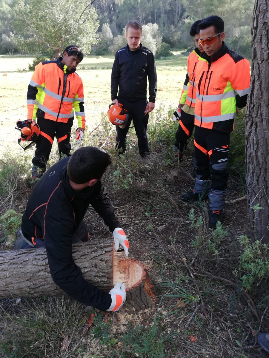FOREST_TRAMUN's tweet photo. Estos días hemos estado formando a una brigada para el manejo de desbrozadora y motosierra en ámbito forestal, garantizando siempre la seguridad del operario. También se ha practicado en diferentes escenarios de trabajo para que conozcan los riesgos y  procedimientos en cada caso https://t.co/UYkXp4gUA9
