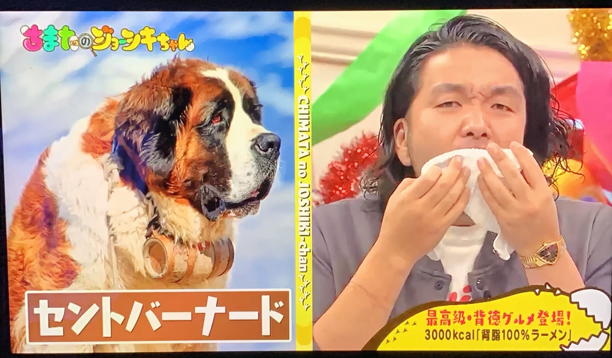 Kkkrpnk 後輩のどなたかにも大きな犬みたいな人と言われていたけど やっぱりちょいちょい大きな犬みが 大きな犬 見取り図盛山 ちまたのジョーシキちゃん モリシしか勝たん T Co V7javdo5mf Twitter