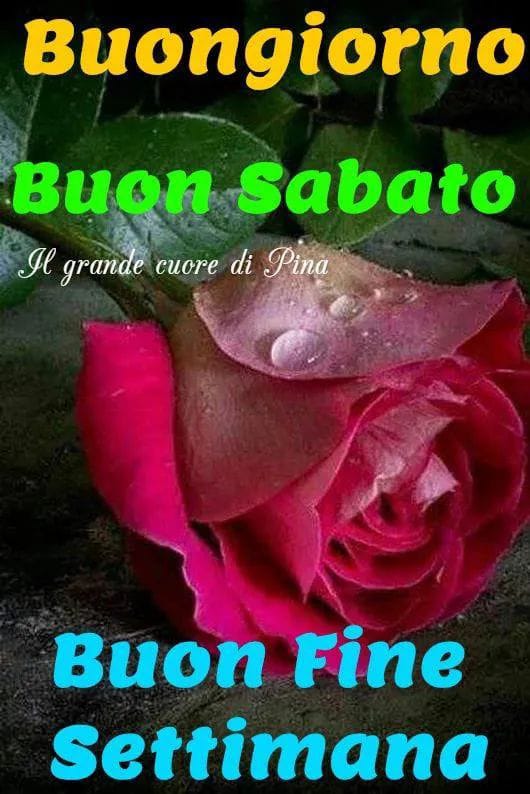 Pinogrimaldi2's tweet photo. @katemicuci https://t.co/XcyYlqG96E