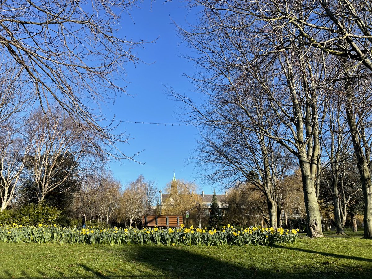 Harolds Cross D6W tweet media