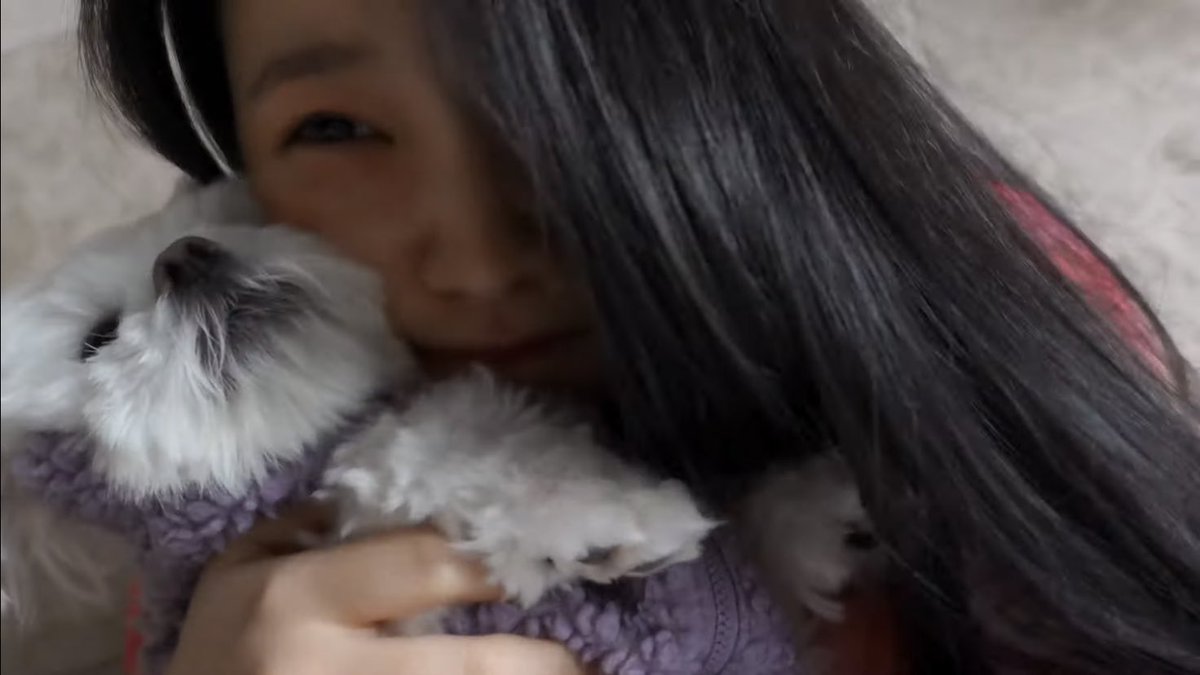 yeri pics 𐙚 (@cuteyeripics) on Twitter photo 