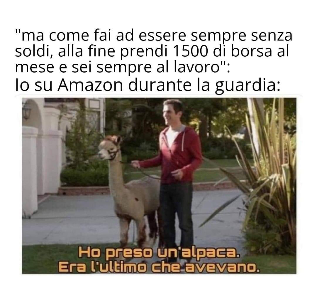 Ma(r)Cisco Dentro tweet media