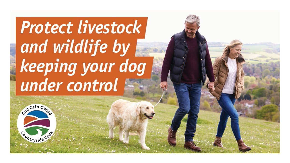 Dog owners 🐕 Help protect lambs, other livestock and wildlife as you enjoy countryside walks: ✅keep your dog under control ✅use a lead around livestock ✅give other animals plenty of space ✅bag and bin your dog’s poo Follow the #DogWalkingCode 👉 orlo.uk/NQrkq