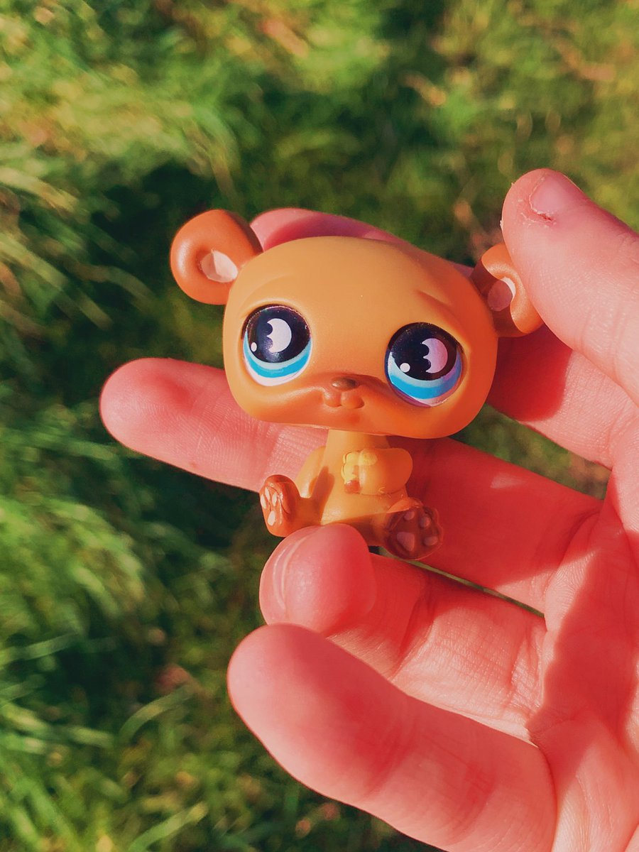 Lps_Photos's tweet photo. #LPS #LittlestPetShop https://t.co/ntrwC7isog