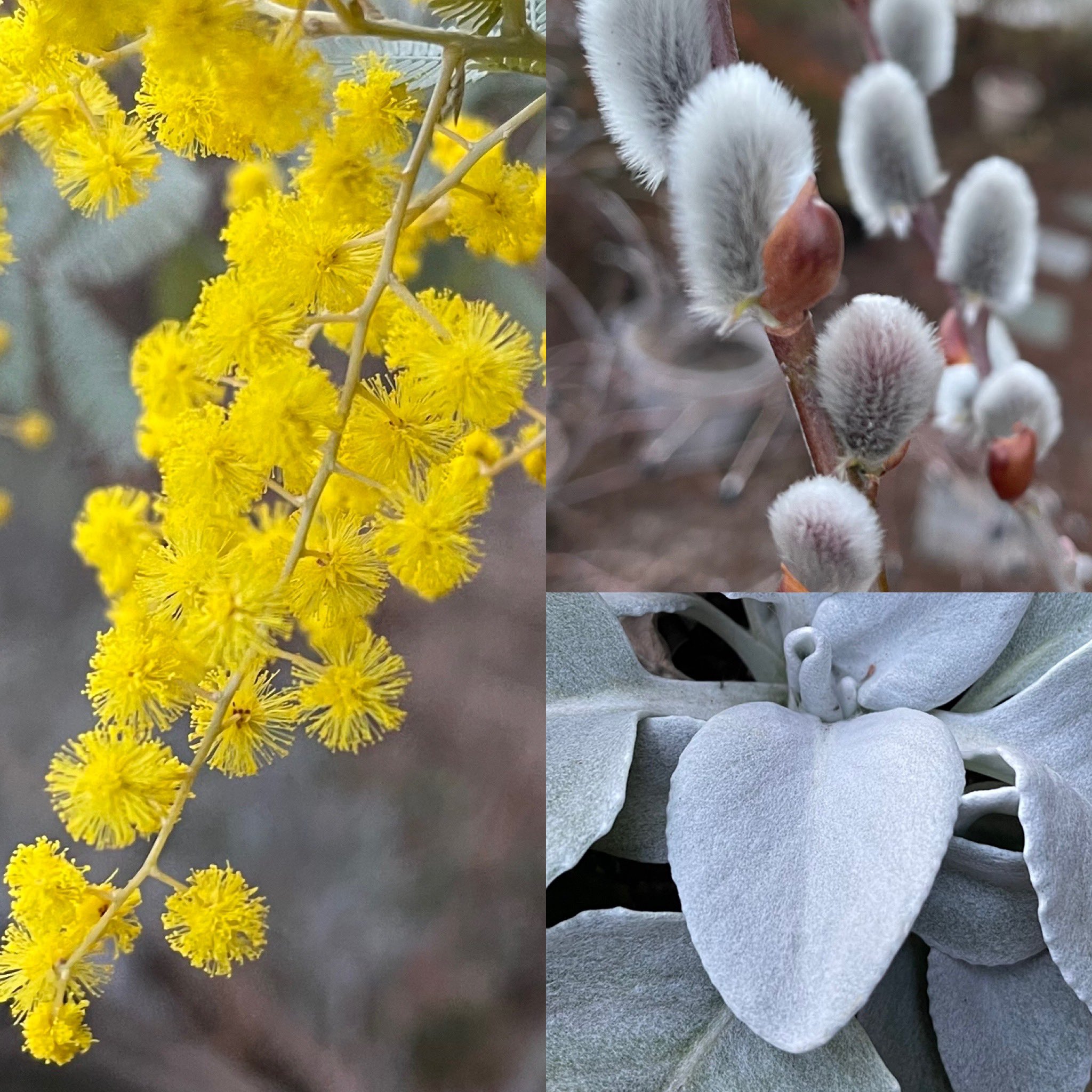 エンジェルウイングス Twitter Search Twitter