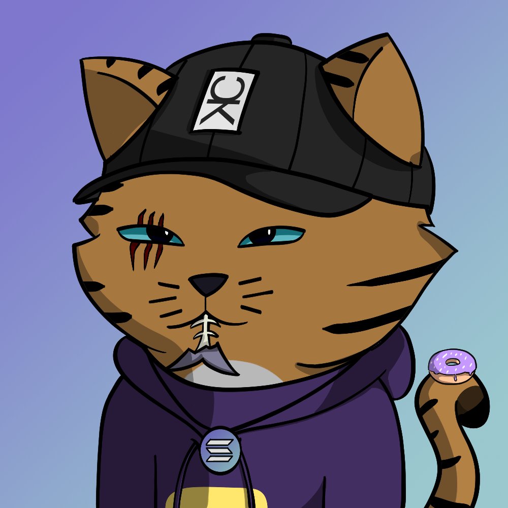 crypto_Gestgo's tweet photo. @KittyCatsSOL #ShowYourKitties https://t.co/e4UnT0jnZI