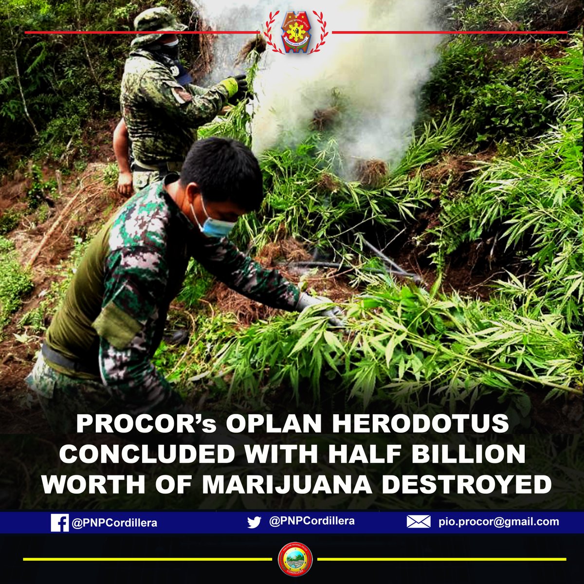 PNPCordillera's tweet photo. PROCOR Regional Director, PBGEN RONALD OLIVER LEE, announced the conclusion of OPLAN HERODOTUS 2 that resulted in the discovery and destruction of more than half-billion worth of marijuana plants and products.

Read: https://t.co/ragUqJgnB1 https://t.co/ijXIvkM2BM