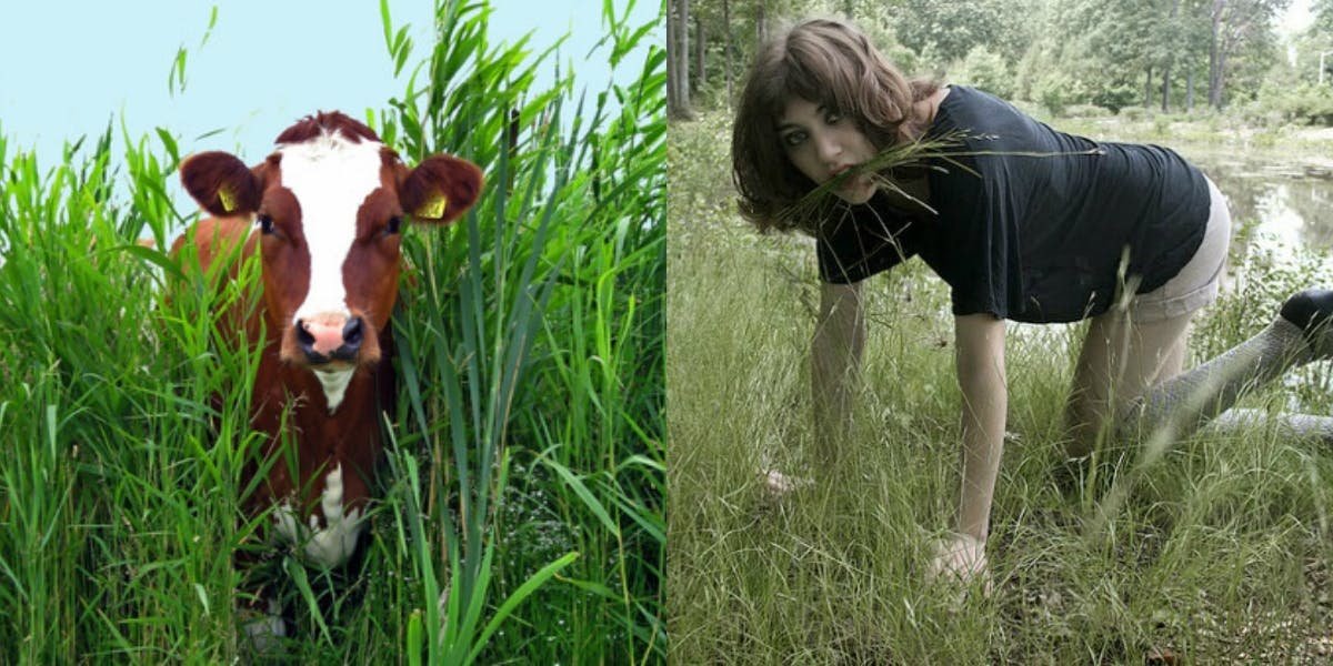 Как люди стали считать себя. Корова и человек. Люди считающие себя коровами. Девушка похожа на корову.