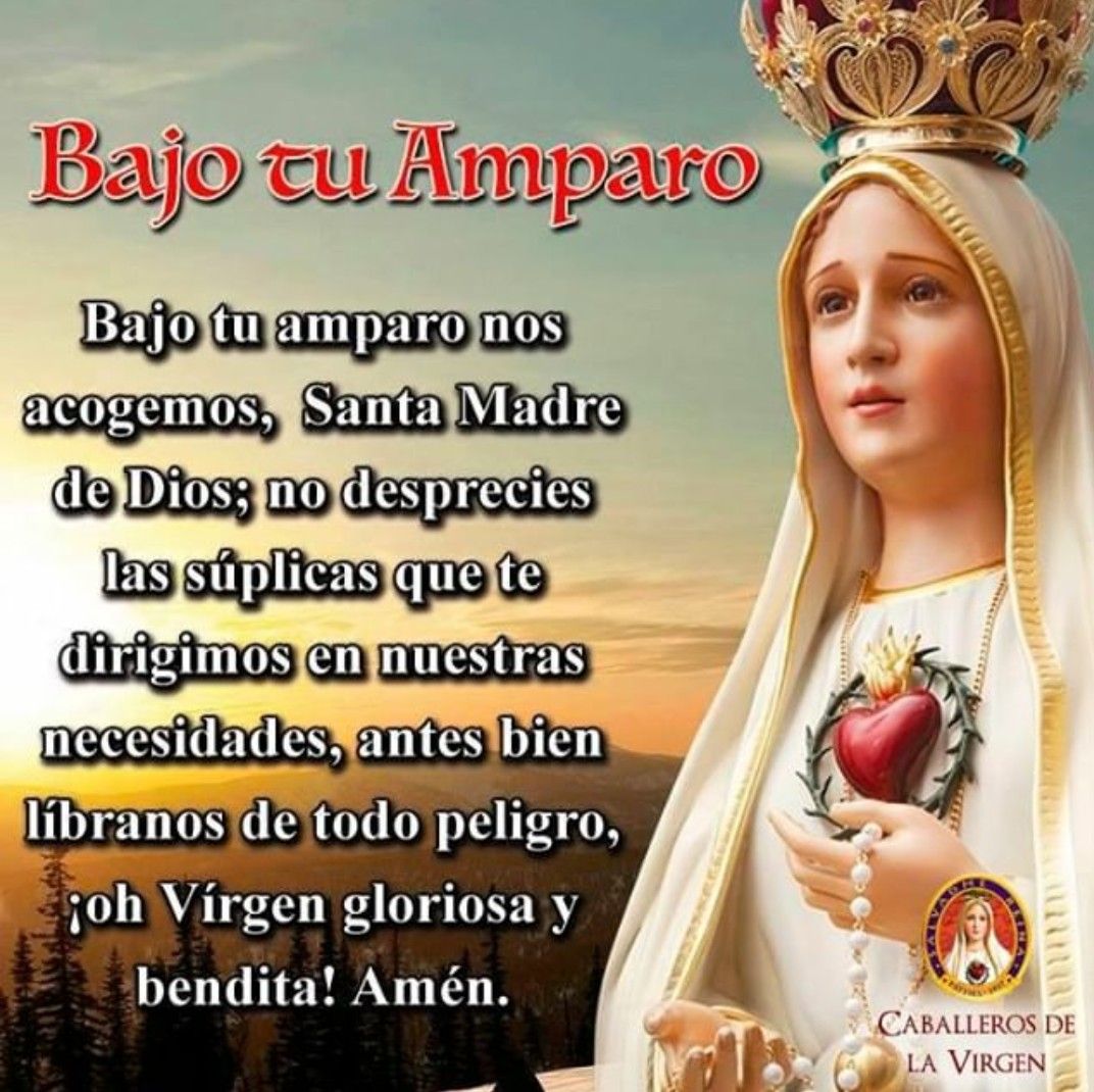 JuntosRecemos's tweet photo. Bajo tu amparo https://t.co/sD5qxH7OFg