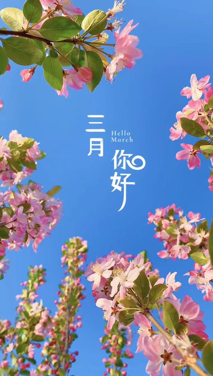 Annalis51359709's tweet photo. 加微信约p啊。快点啊 https://t.co/bHIes2ITSz