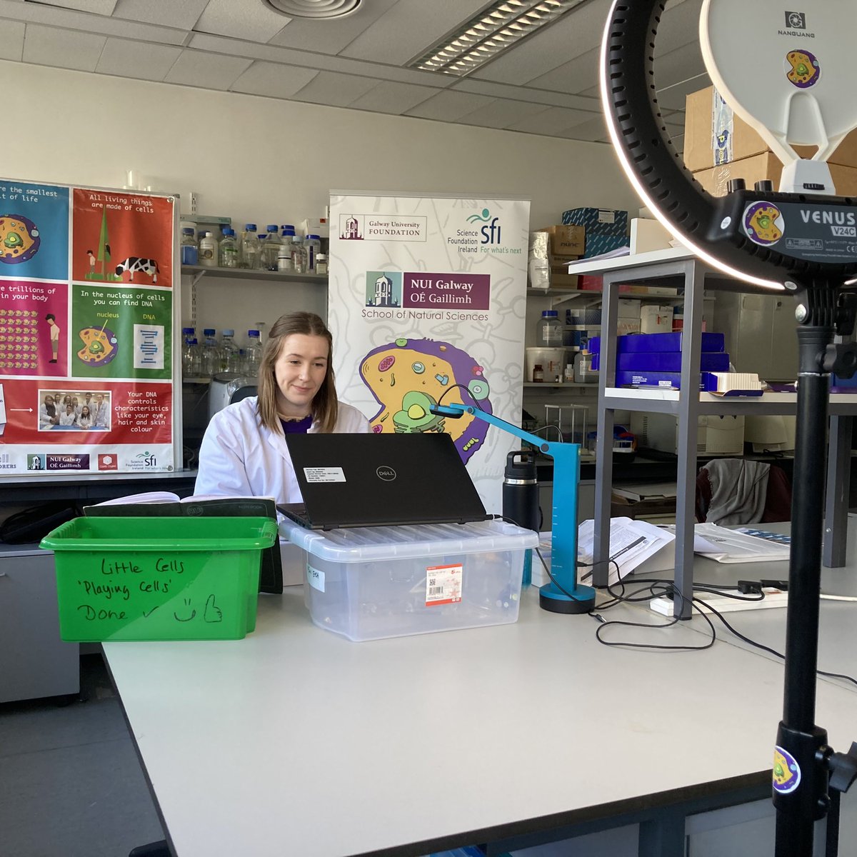 Cellexplorers's tweet photo. We are celebrating #EngineeringWeek2022 at #NUIGalway today! @CiaraShortiss and her team are delivering 2 #FantasticDNAatHome workshops on zoom. Our young particupants have received their science kit in advance to do their experiment at home. #ScienceisforEveryone @STEMnuigalway https://t.co/WigYZtIDT8