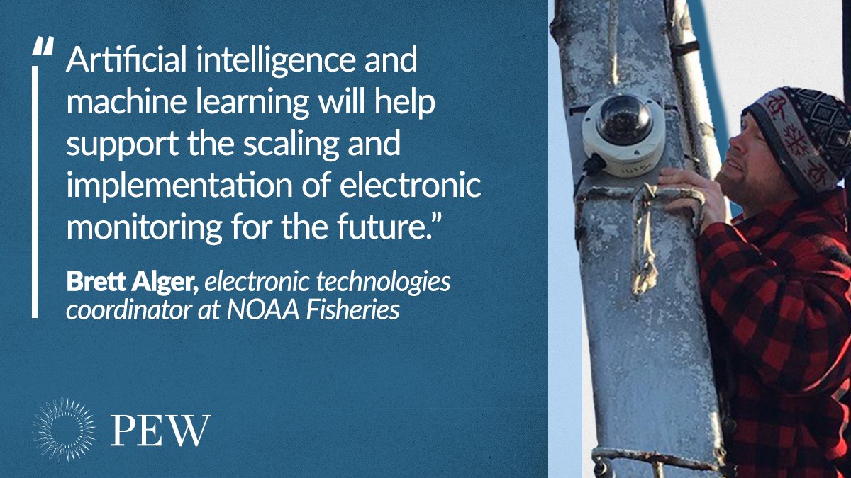 pewenvironment's tweet image. Q&amp;amp;A: Could the future of sustainable seafood rest with artificial intelligence? Experts explain. #OpenDataDay #EM4Fish pew.org/3MjJ0Bn