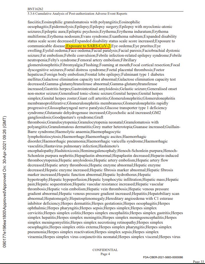 Please wait as New World Order is loading... tweet media